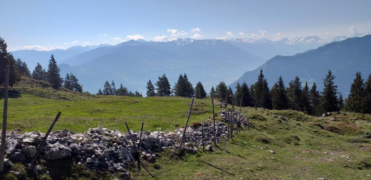 Ferienwohnungen Hochzillertal Kaltenbach Exteriör bild