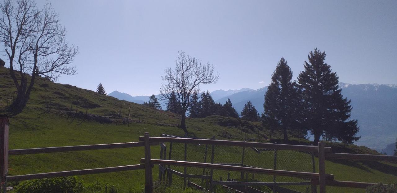 Ferienwohnungen Hochzillertal Kaltenbach Exteriör bild