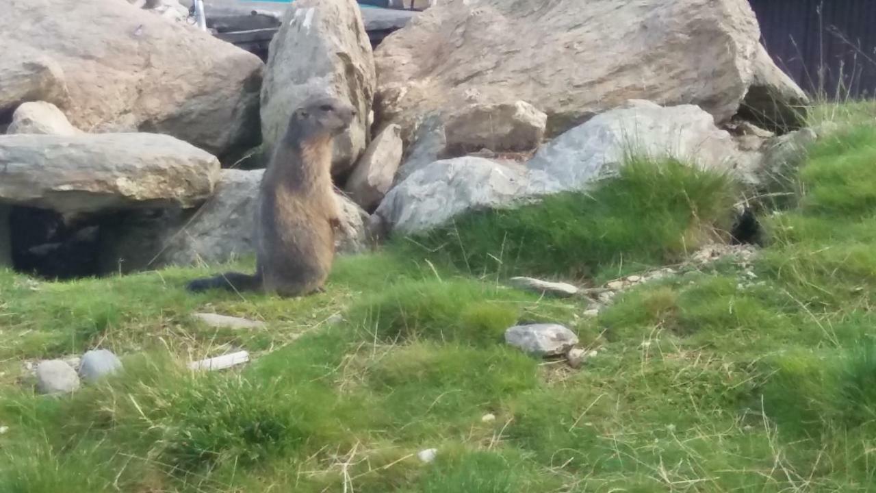 Ferienwohnungen Hochzillertal Kaltenbach Exteriör bild